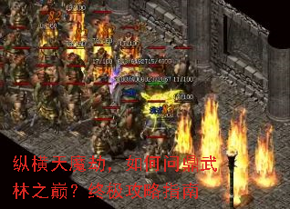 �ݺ���ħ�٣�����ʶ�����֮�ۣ��ռ�����ָ��