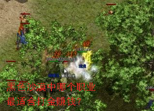 ��ɫɳĮ���ĸ�ְҵ���ʺϴ��׬Ǯ��