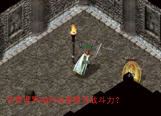 ����������ο�������ս������