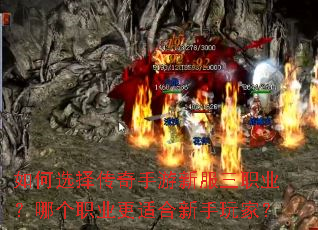 ���ѡ���������·���ְҵ���ĸ�ְҵ���ʺ�������ң�