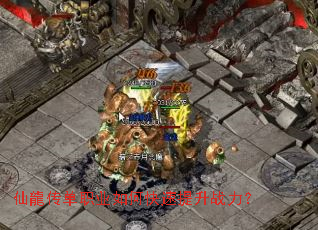 ��������ְҵ��ο�������ս����