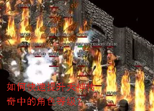 ��ο��������������еĽ�ɫ�ȼ���