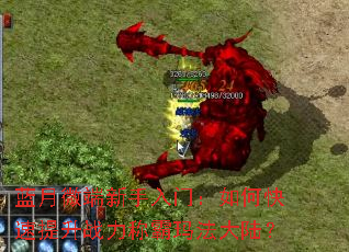 ����΢���������ţ���ο�������ս���ư��귨��½��