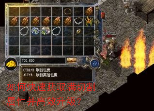 ��ο��ٻ�ȡ���и����Բ���Ч������