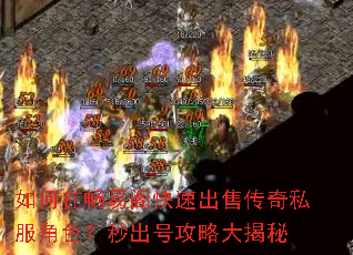 ����ڳ��׸���ٳ��۴���˽����ɫ������Ź��Դ����