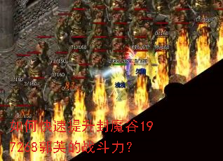 ��ο���������ħ��197268��ܽ��ս������