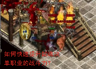 ��ο�������߱�����ְҵ��ս������