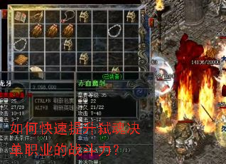 ��ο�������߱�����ְҵ��ս������