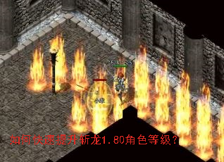 ��ο�������ն��1.80��ɫ�ȼ���