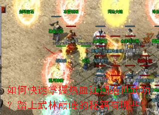 ��ο���������Ѫ���������书��̤�������۷���ؼ�����Щ��