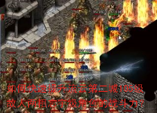 ��ο����������Ƶڶ���105���������������ɫ��ս������