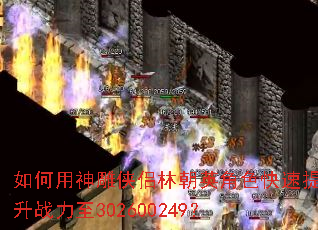 �������������ֳ�Ӣ��ɫ��������ս����302600249��