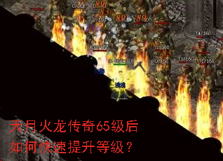 ���»�������65������ο��������ȼ���