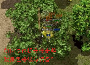 ��ο�������������Ϸ��ɫ�ȼ���װ����