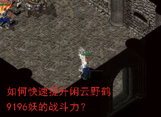 ��ο�����������Ұ��9196����ս������