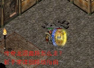 ������ԴѪ·��ô�ߣ���������ϸ·��ָ��