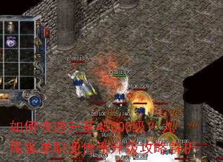 ��ο�������45000������β����ְҵ�����������Խ���