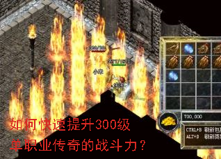 ��ο�������300����ְҵ�����ս������