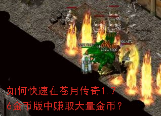 ��ο����ڲ��´���1.76��Ұ���׬ȡ������ң�