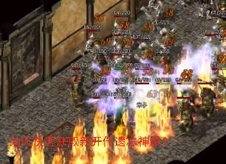 ��ο��ٻ�ȡ�¿�Ǫ����������