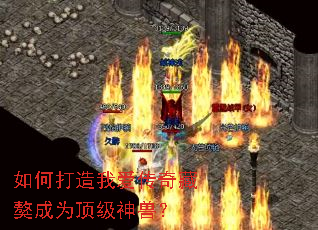 ��δ����Ұ���������Ϊ�������ޣ�