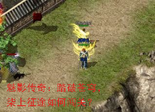 ��Ӱ���棺̤�Ʋ�񷣬������;��δ��أ�