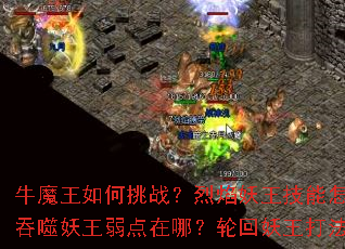 ţħ�������ս����������������ô�ƣ����������������ģ��ֻ�������ȫ����