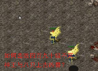 ��λ����İپ�ʮ�������������ֻ�Ϲ����ޣ�