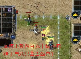 ��λ����İپ�ʮ�������������ֻ�Ϲ����ޣ�