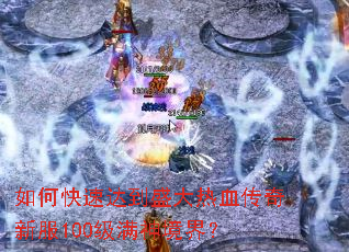 ��ο��ٴﵽʢ����Ѫ�����·�100�����񾳽磿