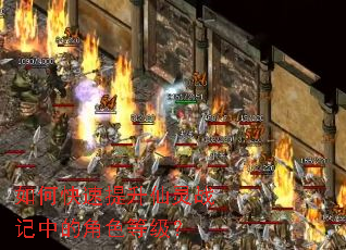 ��ο�����������ս���еĽ�ɫ�ȼ���