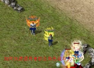 ��ο���������ְҵ��ɫս������