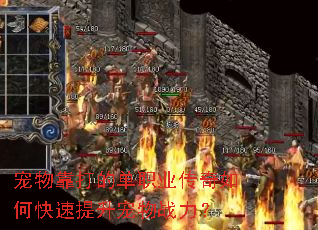 ���￿��ĵ�ְҵ������ο�����������ս����