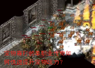 ���￿��ĵ�ְҵ������ο�����������ս����