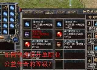 ��ο���������ְҵ���洫��ĵȼ���