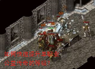 ��ο���������ְҵ���洫��ĵȼ���