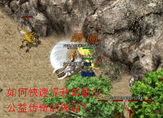 ��ο���������ְҵ���洫��ĵȼ���