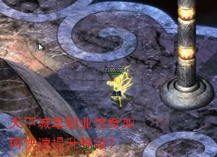 ���³ǵ�ְҵ������ο��������ȼ���