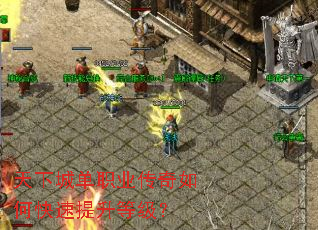 ���³ǵ�ְҵ������ο��������ȼ���