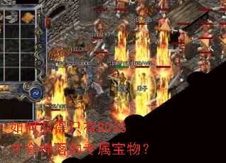 ��λ��ֻ��BOSS�Ż�����ר�����