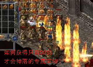 ��λ��ֻ��BOSS�Ż�����ר�����