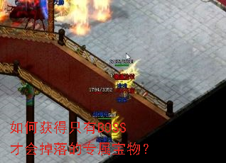 ��λ��ֻ��BOSS�Ż�����ר�����