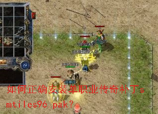 �����ȷ��װ��ְҵ���油��smtiles96.pak��