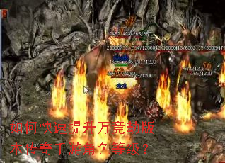 ��ο��������򾺽ٰ汾�������ν�ɫ�ȼ���