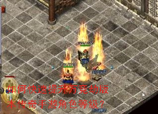 ��ο��������򾺽ٰ汾�������ν�ɫ�ȼ���