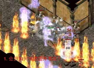 1.��Ա��ο��������ȼ���