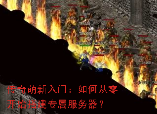 �����������ţ���δ��㿪ʼ�ר����������