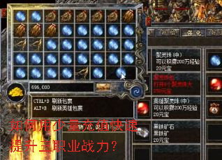 �����������ֵ����������ְҵս����