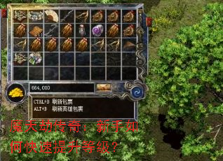ħ��ٴ��棺������ο��������ȼ���