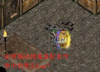 ��ν����ħ��ְҵ�����еĳ���bug��